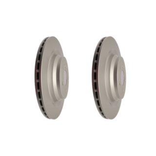 Rear Geomet Coated Anti Rust Brake Rotor Set of 2